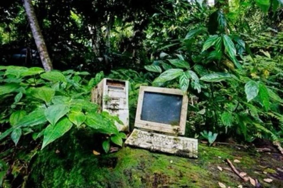 Old Computer from the 90s in a dense forest, rotten and overgrown with plants.