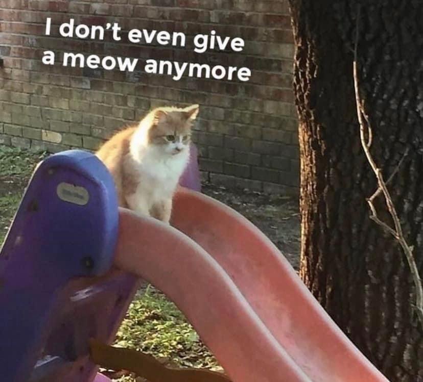A cat sitting on top of a kids slide, looking deeply in thought. Text above it reads: I don't even give a meow anymore