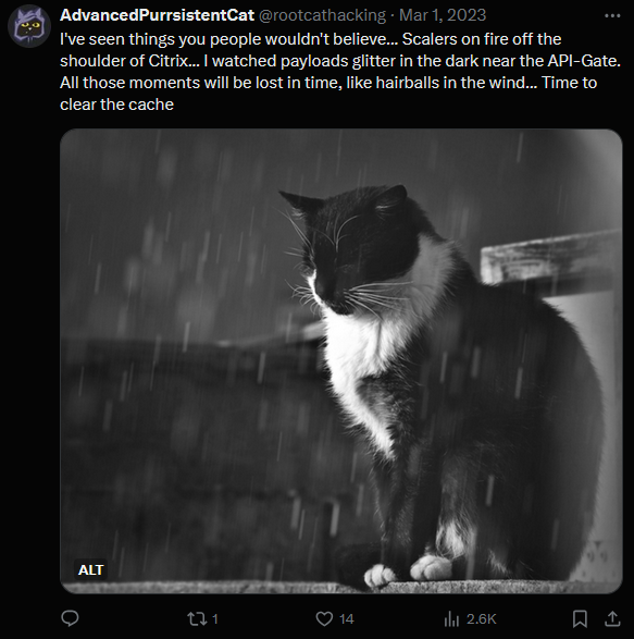 A screenshot of a tweet, showing a cat in the rain. Text reads: I've seen things you people wouldn't believe ... Scalers on fire of the shoulder of Citrix ... I watched payloads glitter in the dark near the Api-Gate... All those moments will be lost in time, like hairballs in the wind ... Time to clear the cache