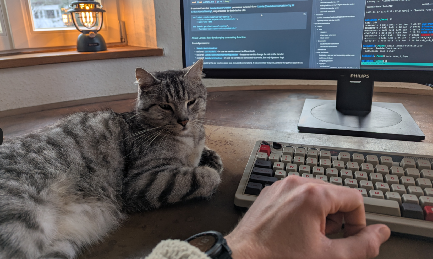 A Picture of the cat Barsik, laying very chill next to a keyboard